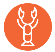 Icona personalizzata